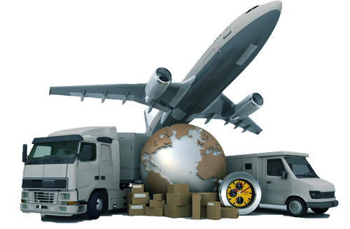 Delivery Professional